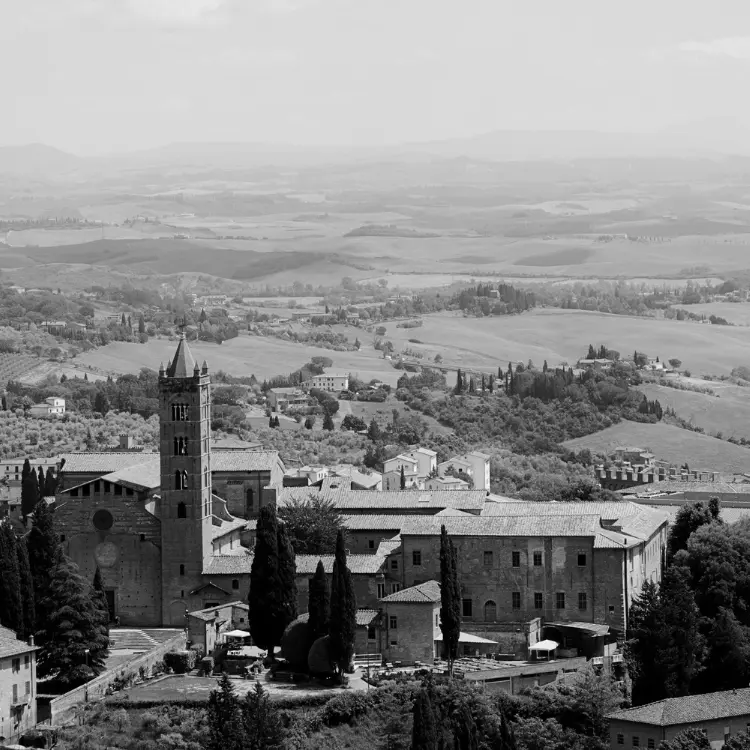 Siena - sede operativa Virgo Toscana digital agency